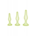 WHIPSMART 3 PCS GLOW IN THE DARK SILICONE ANAL TRAINING KIT