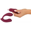 Rosenrot bendable rc panty vib