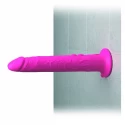 Dildo Wall Banger 2.0