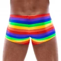 Herren pants rainbow