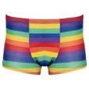 Herren pants rainbow