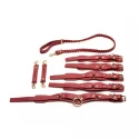 Lover's restraints set