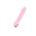 Wibrator - Rechargeable Vibrator USB 10 Functions