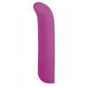 NMC 5 INCH SILICONE 10 FUNCTION VIBRATOR PURPLE