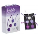 Minds of love trainballs gym set