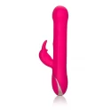Jack rabbit signature