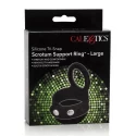 Pierścień na penisa Tri-Snap Scrotum Support Ring L