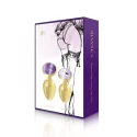 Rianne s - booty plug luxury set 2x gold