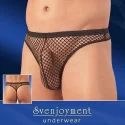 Stringi z siateczki
