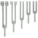 Tuning fork set