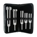 Tuning fork set