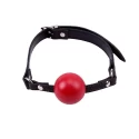 Red ball gag