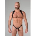 Spartan harness medium