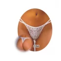Stringi 2266