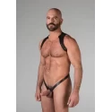 Spartan harness small