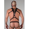 Spartan harness small