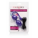 Rechargeable Dual Kegel