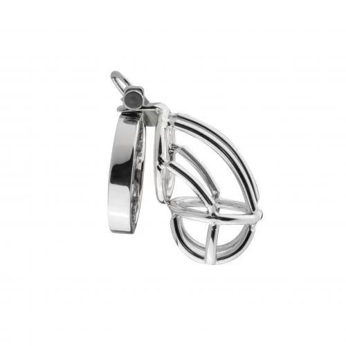 Chastity Cage With Urethral and Anal Plug