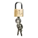 Chastity Cage With Urethral and Anal Plug
