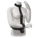 BLAZE RESTRAINT BODY HARNESS WITH COLLAR