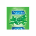 Pasante mint tingle bulk (144 szt.)