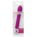 10 Function Risque Tulip 