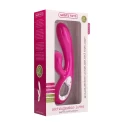 Rechargeable lutea