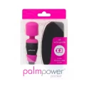 PalmPower Pocket