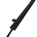 Tawse whip