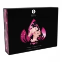 Shunga touch of romance
