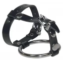 Metall-penisring m. hodenteil.