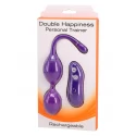 Double Happiness Trainer