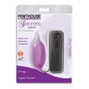 Penthouse secrets cyber flickerÂ®, bashful blue