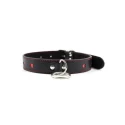 Obroża i smycz Collar Leash