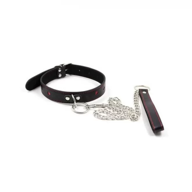 Obroża i smycz Collar Leash