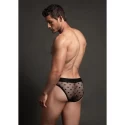 Star Brief