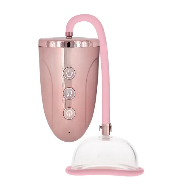 Rechargeable pussy pump