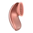 Hands - free suction & vibration toy