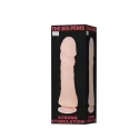 THE BIG PENIS
