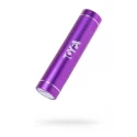 PowerBank