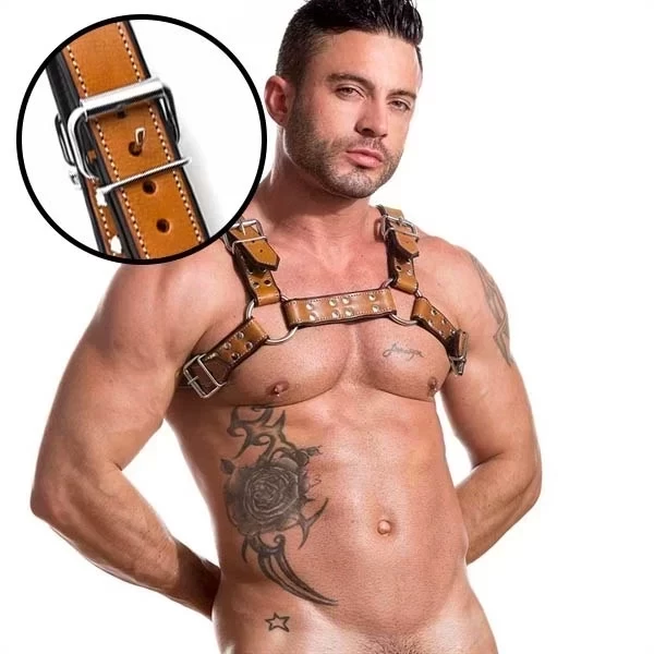 Auburn saddle bulldog harness - nickle - large