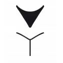 LXCande001
