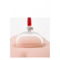TEMPTASIA VULVA CUP CLEAR