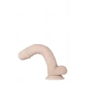 EVOLVED REAL SUPPLE POSEABLE 9.5INCH