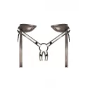 Leatherette harness desirous