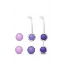 WELLNESS KEGEL TRAINING KIT PURPLE