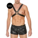 Men's large buckle harness - one size