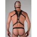 Spartan harness extra large