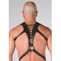 Spartan harness extra large