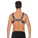 Buckle bulldog harness - s/m